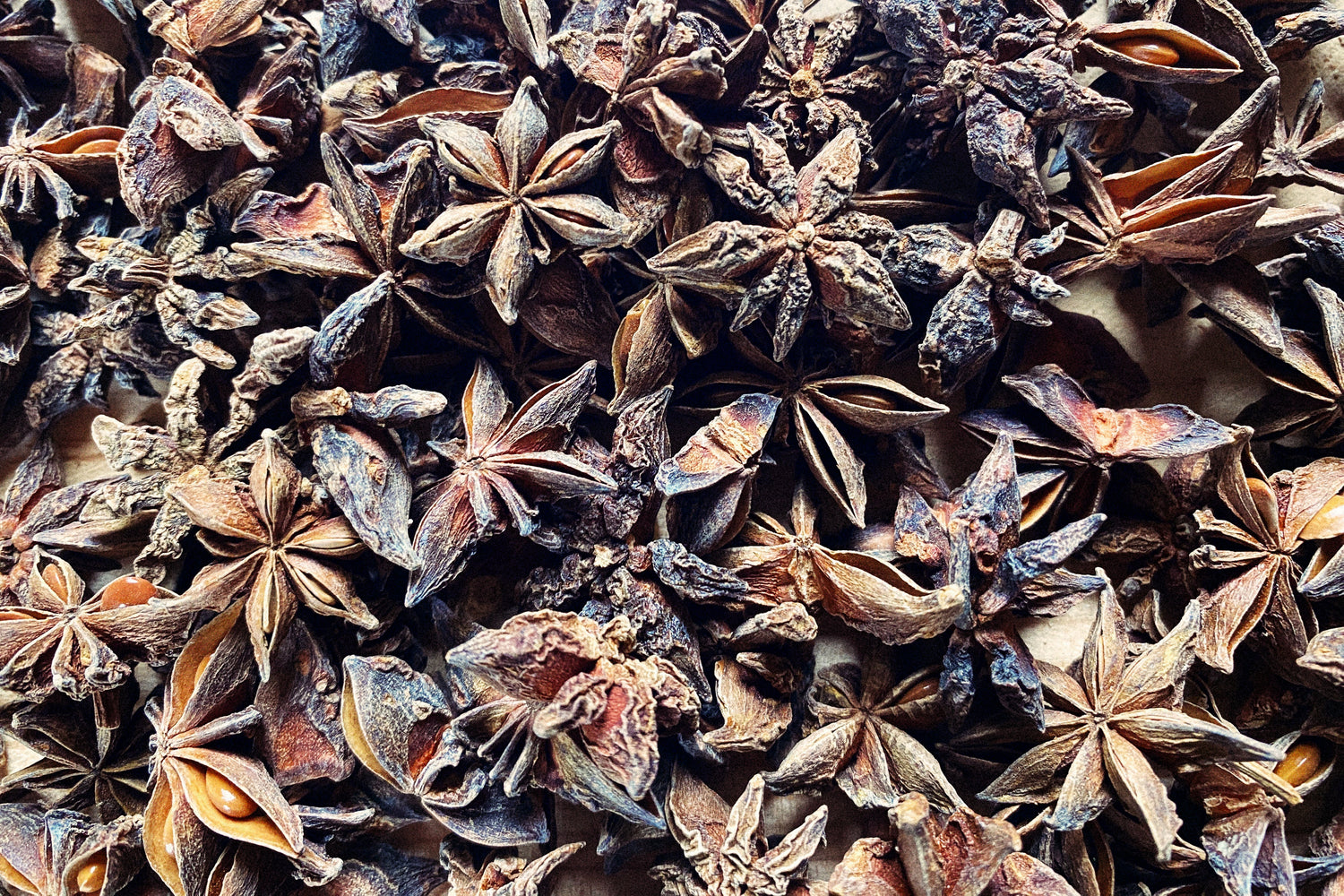 Dried star anise pods photographed from above — a study in eight-pointed seedpods and deep shadow.