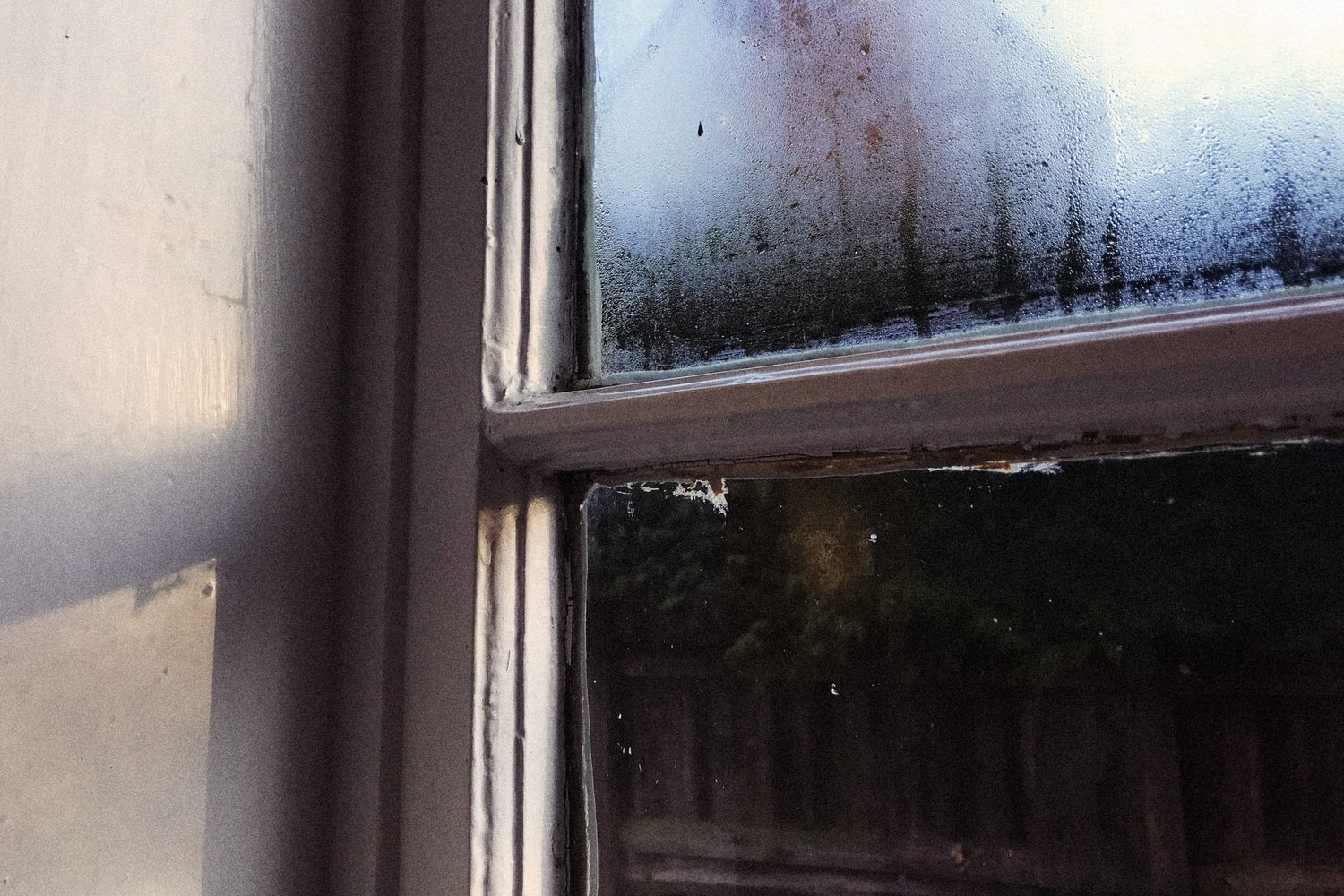Dawn light on a window pane — soft condensation on the glass, a hedgerow silhouette beyond.