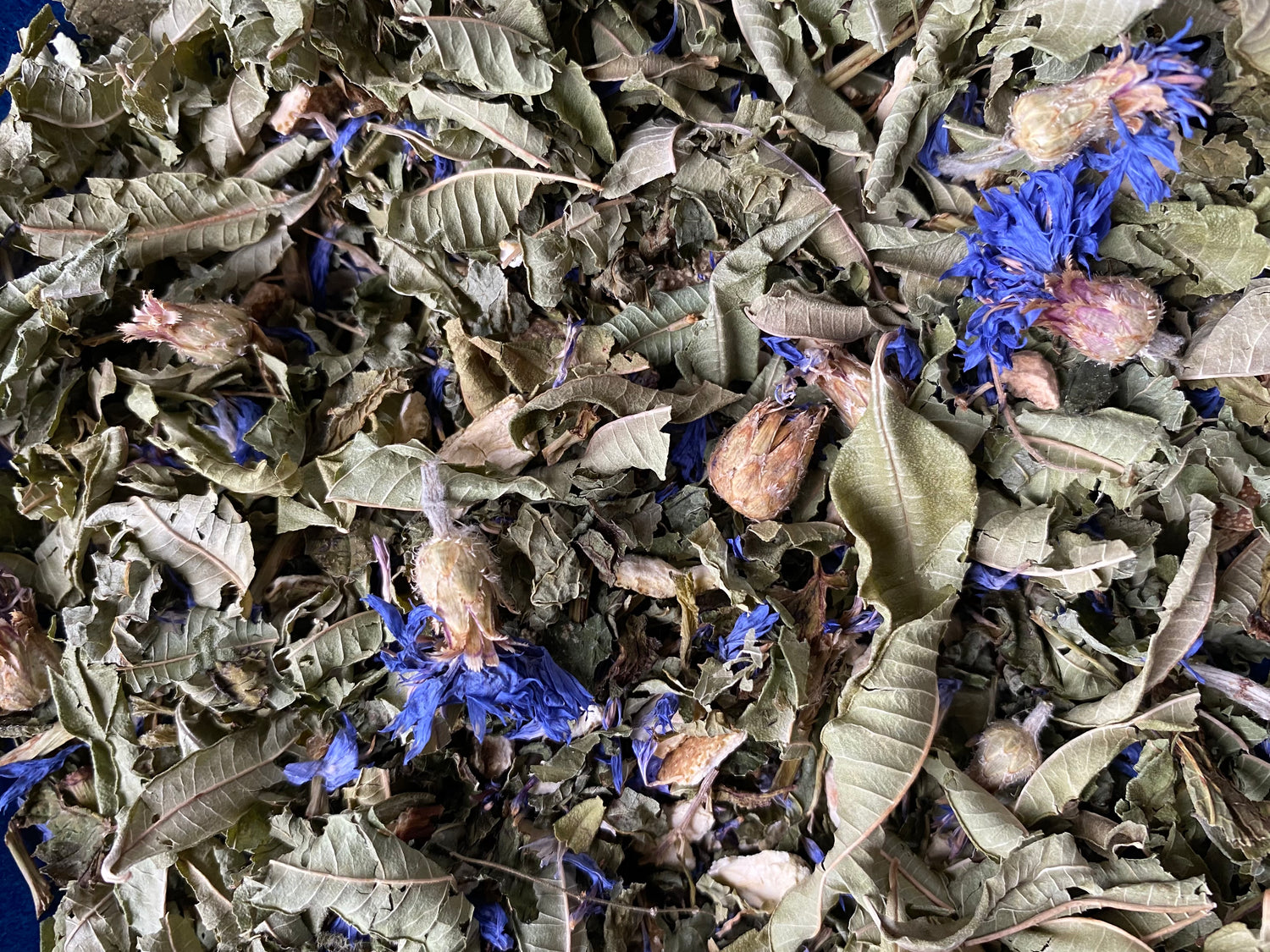 A Sense of Ease in close-up — green herb leaves scattered with bright blue cornflower petals.