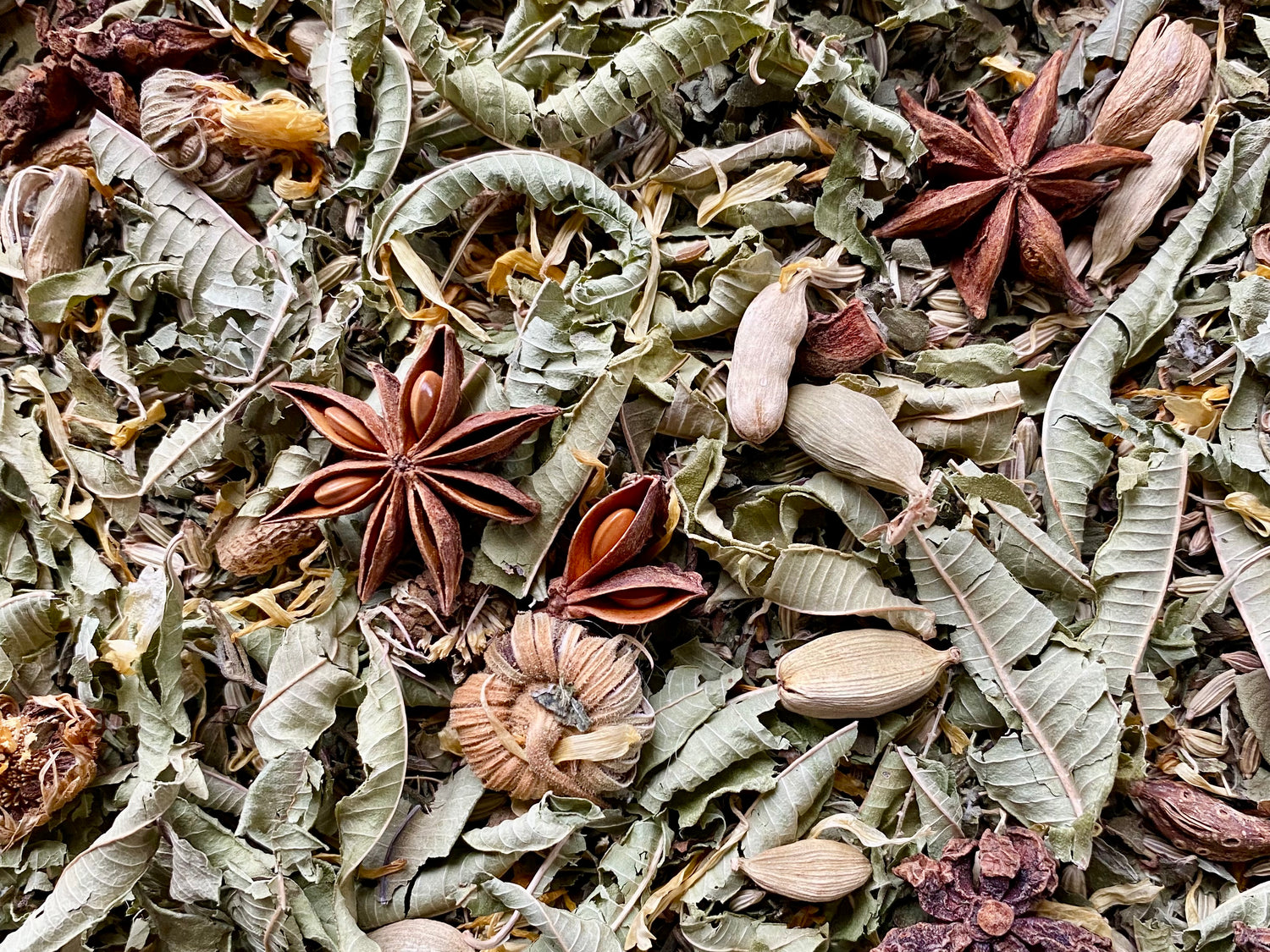 A close-up of the Gut Feeling blend — lemon verbena leaves, star anise, cardamom pods and marigold blossom.